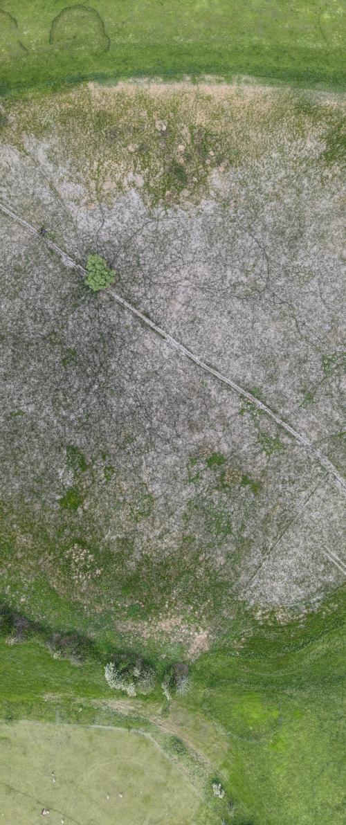 DJI_2878.JPG